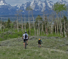 Mountain Biking Sawtooth Mountains Mountain biking, corporate trip, team building adventure