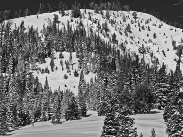 sawtooth-earthquake-20