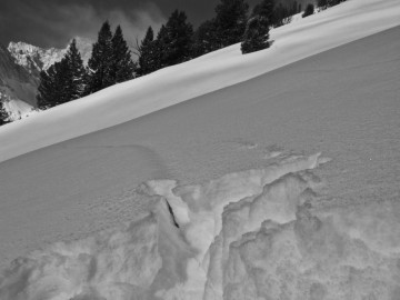 sawtooth-earthquake-21