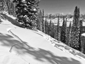 sawtooth-earthquake-23