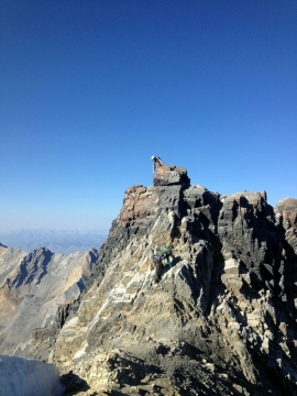 photo (2)