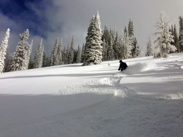 photo-2