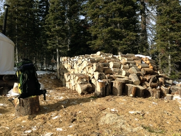 Firewood's in!