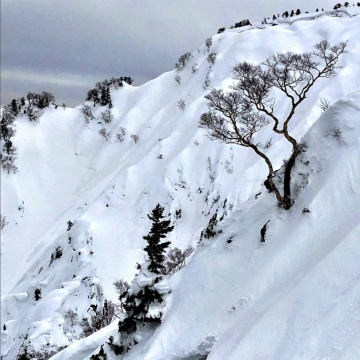japan-2018-4