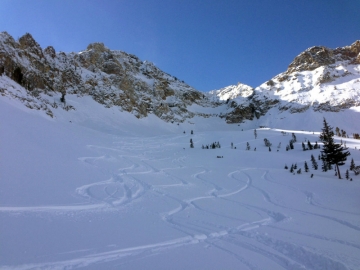 Meadow Bowl