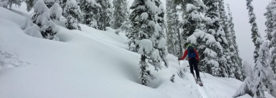 Mid-Winter Update: Avalanche courses, and finally the snow returns
